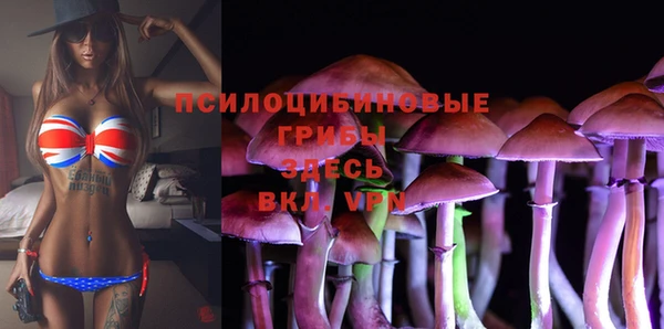 марки nbome Аркадак