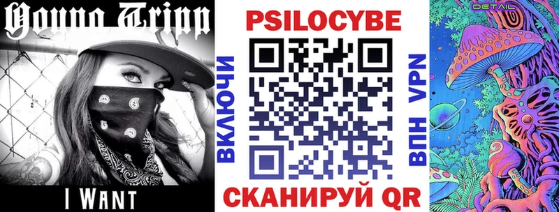 Псилоцибиновые грибы GOLDEN TEACHER  Тейково 